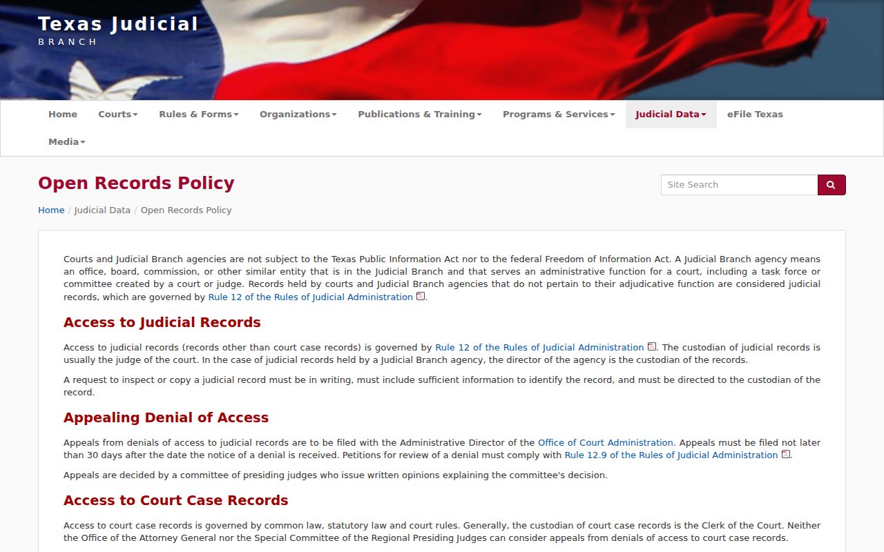 Camp County arrest warrant record access, Texas courts open-records policy